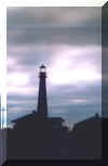 LIGHT7.jpg (97930 bytes)